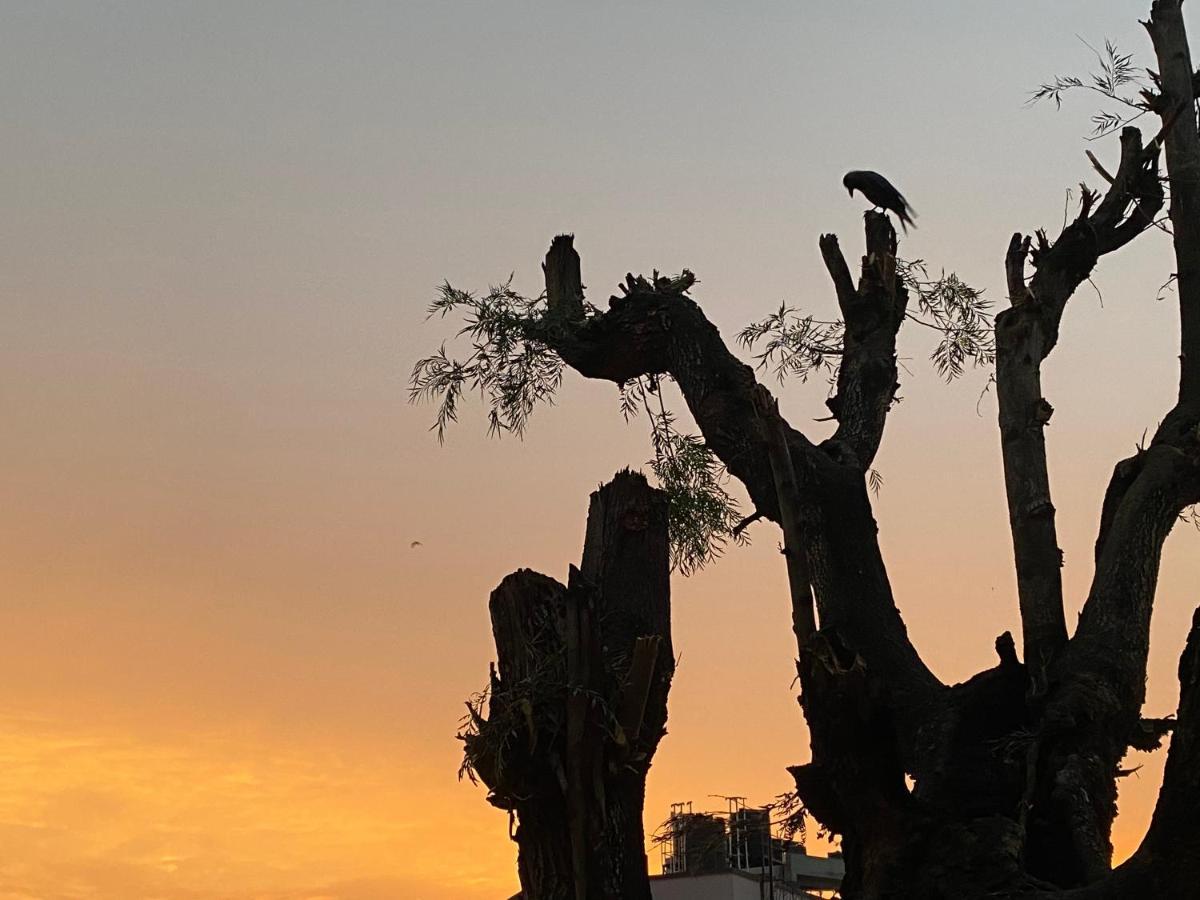 Birds Nest Hostel Kathmandu Buitenkant foto